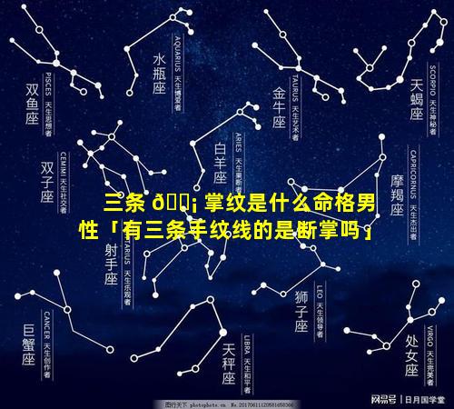 三条 🐡 掌纹是什么命格男性「有三条手纹线的是断掌吗」